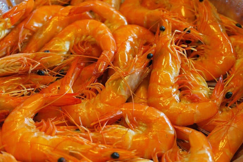 Foodie Travel